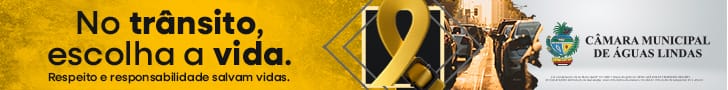Banner Governo