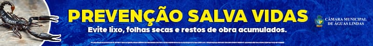 Banner Governo