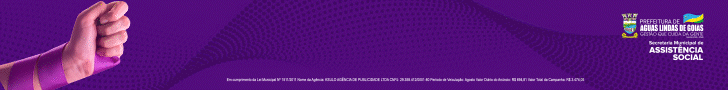 Banner Governo